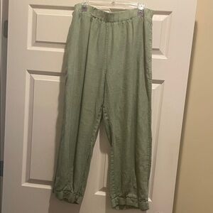 Casual Light Green Pants Large